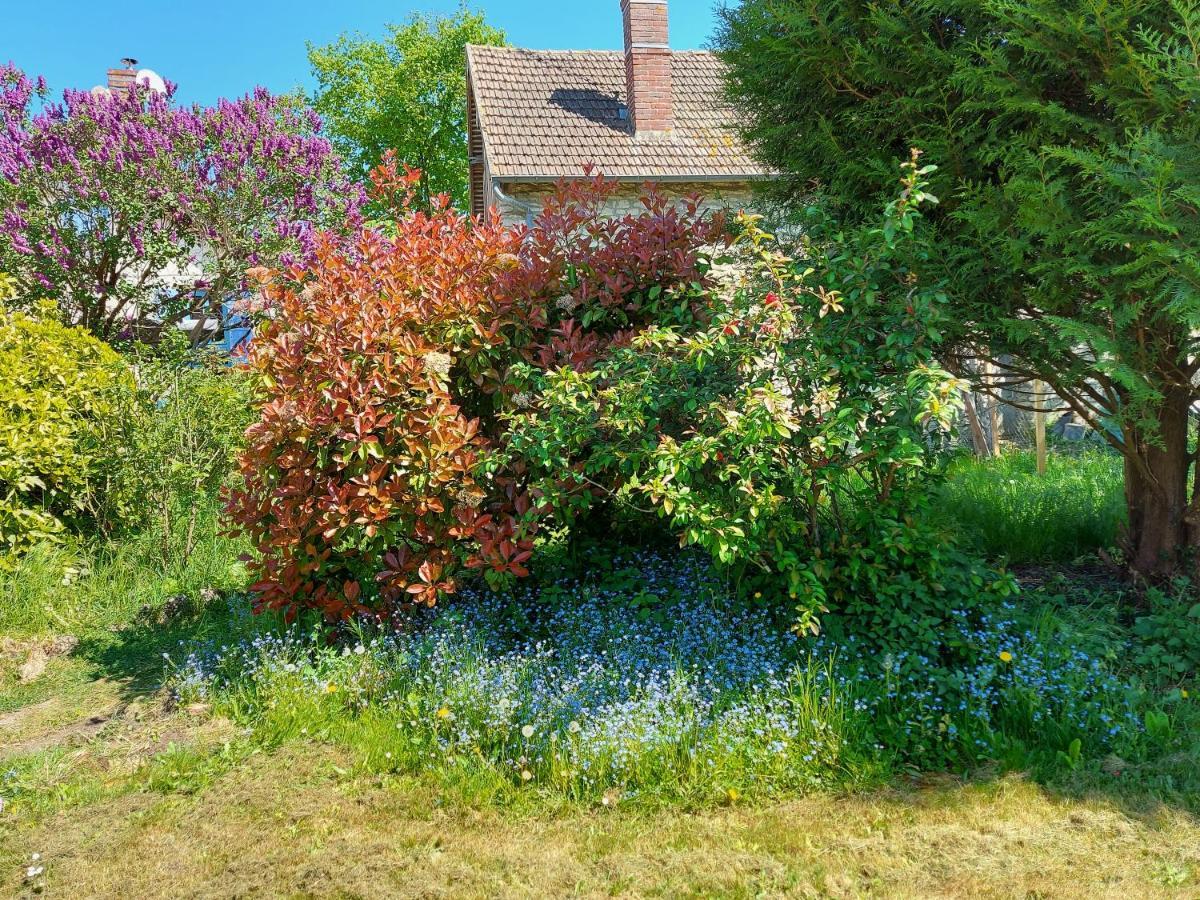 Trie-Château Chez Robinsヴィラ エクステリア 写真
